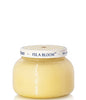 Caffe Capri 8 oz Petite Candle (Isla Bloom)