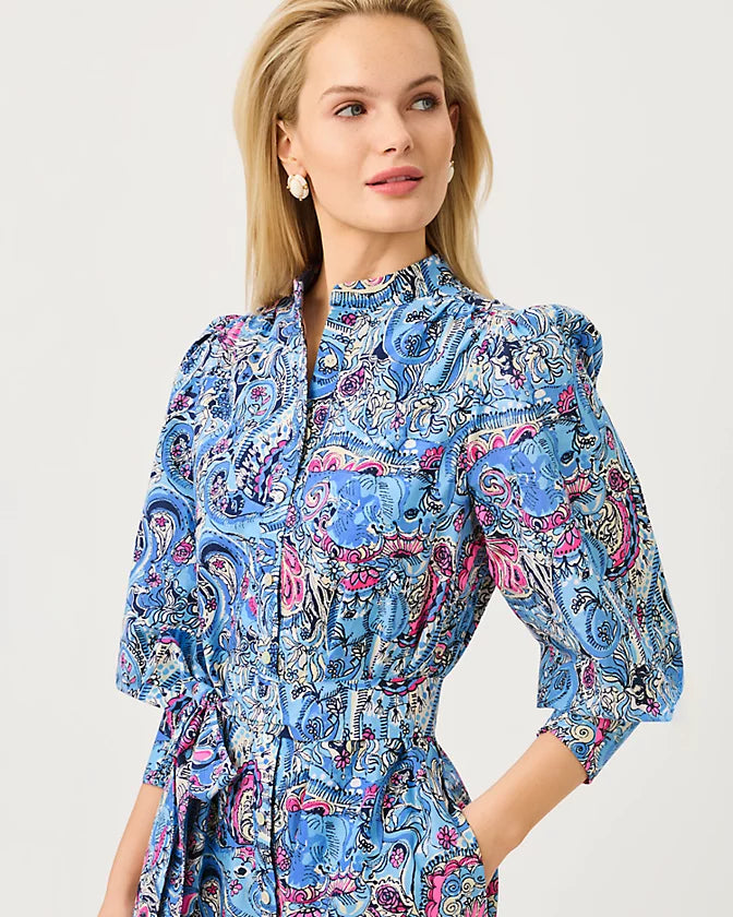Drena Midi Dress (Multi Paisley Parade Shirtdress)