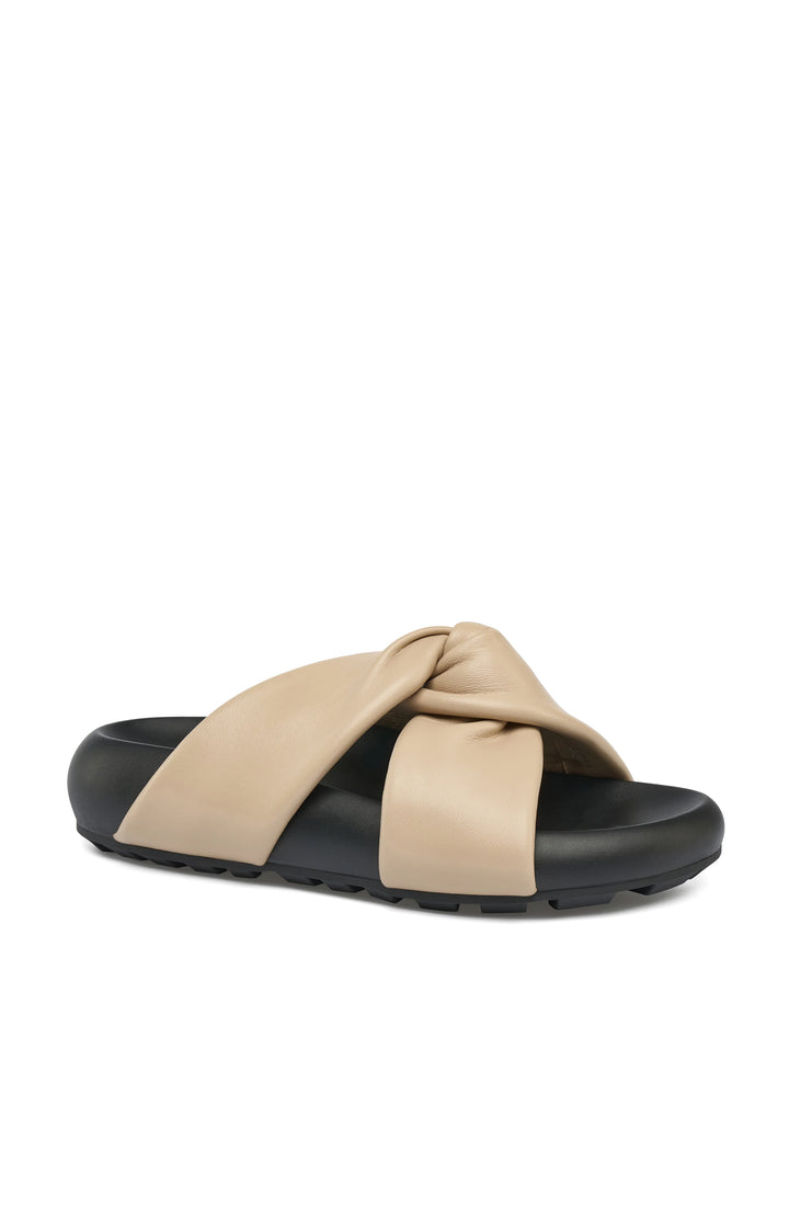 Calista (Camel)