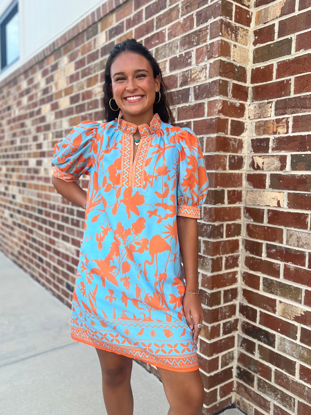 Ruffles Neck Dress (Birds of Paradise)