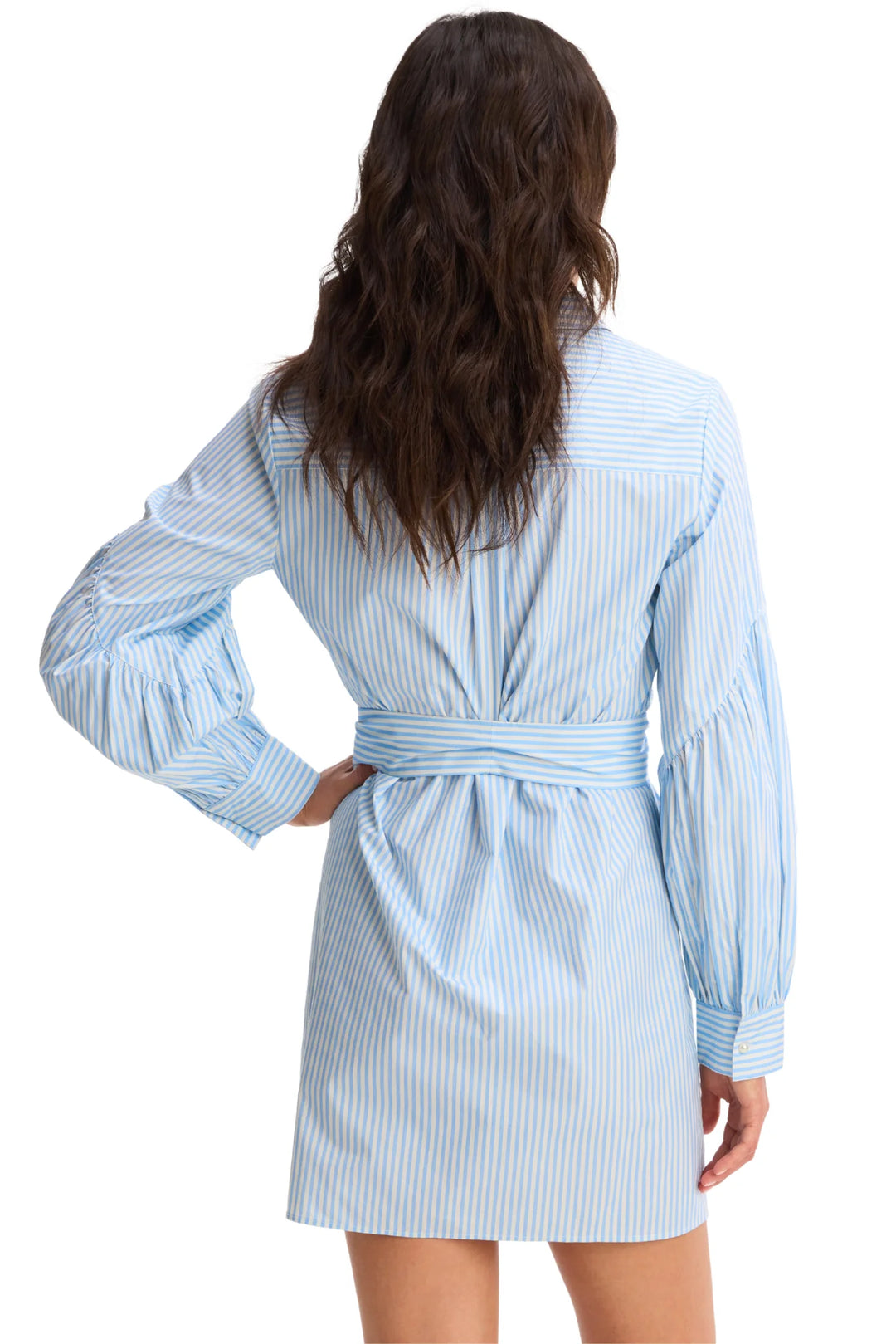 Paisley Dress (Blue Stripe)
