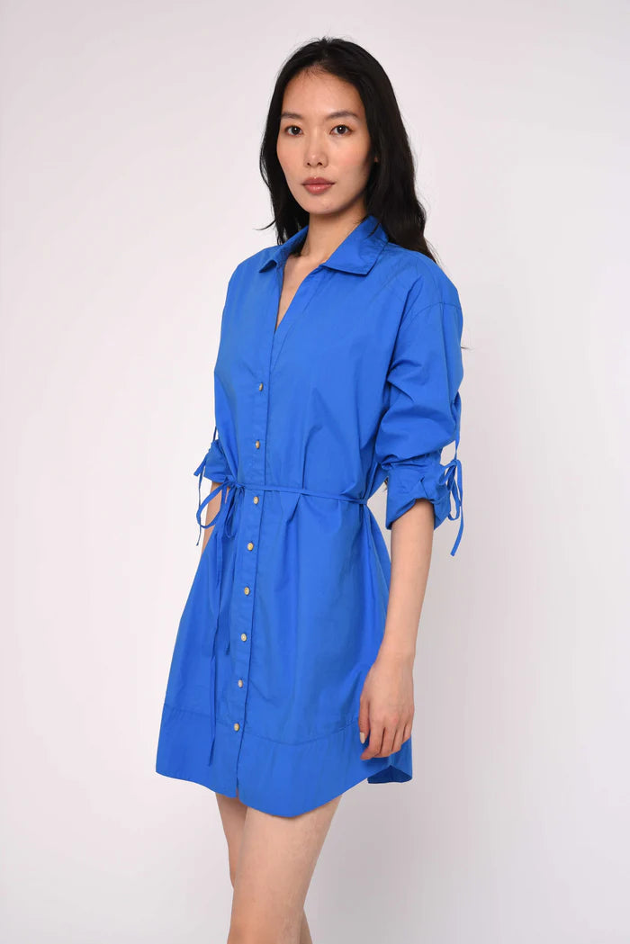 Shannon Mini Dress (Palace Blue)